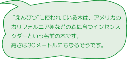 えんぴつに使われている木は、アメリカのカリフォルニア州などの森に育つインセンスシダーという名前の木です。高さは30メートルにもなるそうです。