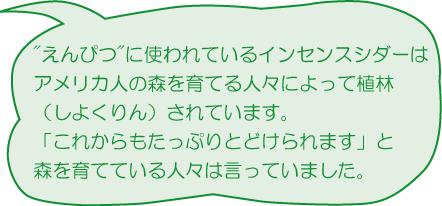 えんぴつに使われているインセンスシダーはアメリカ人の森を育てる人々によって植林（しょくりん）されています。これからもたっぷりとどけられます」と森を育てている人々は言っていました。「育てているえんぴつの木」を読んでください）